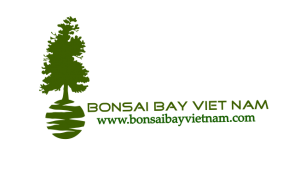 BONSAI BAY VIET NAM