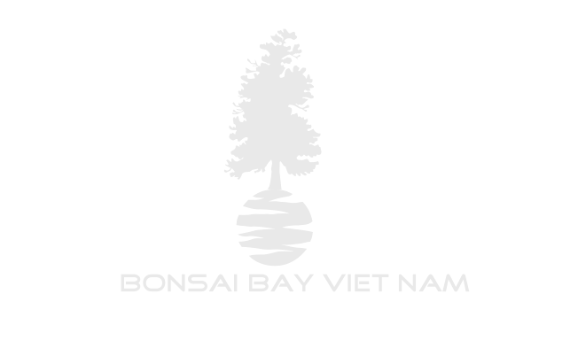 BONSAI BAY VIỆT NAM