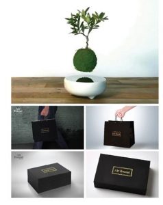 bonsai-bay-viet-nam-a01-trang