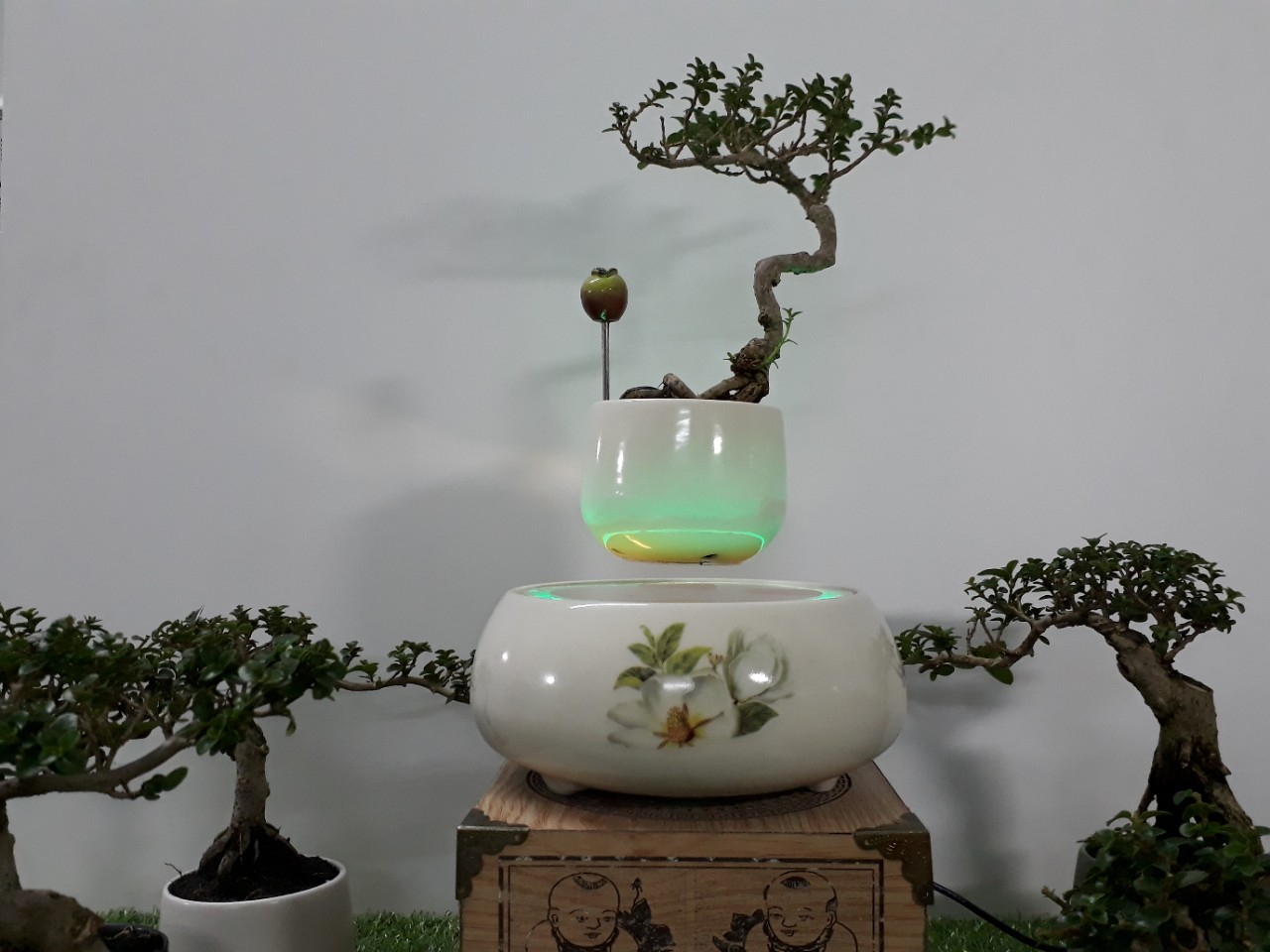 Bonsai bay hoa xuan 2018 - hoa tra (10)