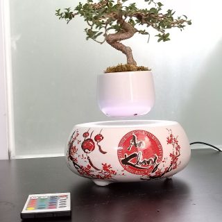 AIR BONSAI BAY HOA XUÂN - THỊNH VƯỢNG PHÁT TÀI