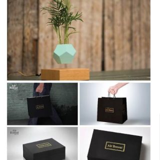 Chậu air bonsai Việt Nam A-02