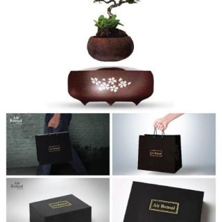 Bonsai bay Việt Nam D-02