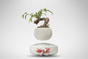 Bonsai Bay Việt Nam, Air Bonsai Việt Nam