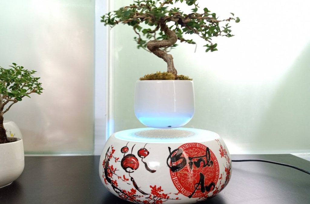 Air bonsai Nhật Bản dự án làm chúng ta phải suy nghĩ