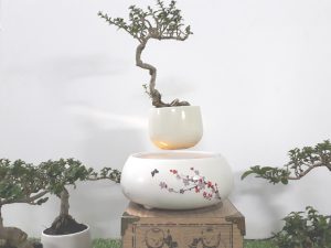 Bonsai bay hoa xuan 2018 Hoa Dao (6)