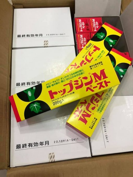 Keo liền sẹo Nhật bản Nhập khẩu  Nisso  200gr/típ hạn sử dụng 2026 - Hình ảnh 3