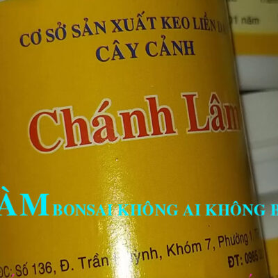 vlcsnap-2019-11-15-15h55m33s263 vlcsnap-2019-11-15-15h55m33s263