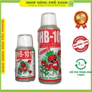 kích rễ HB 101